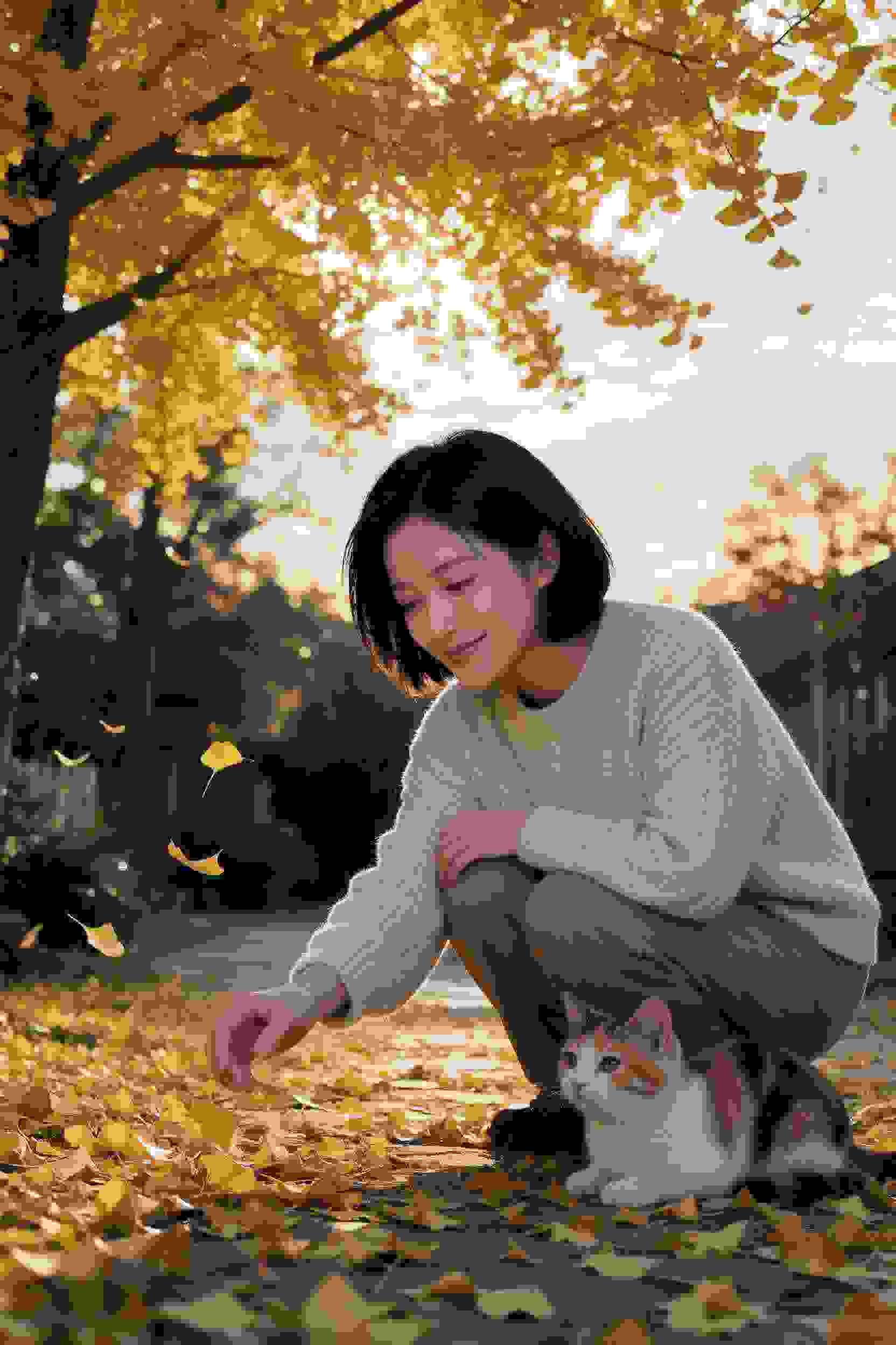 说好不哭